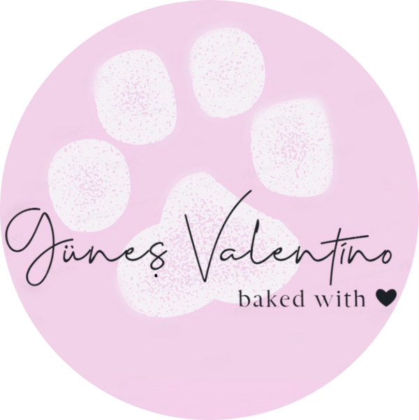 Güneş Valentino